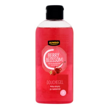 GEL BAÑO / DOUCHEGEL BERRIES (X6) 250ML JUMBO